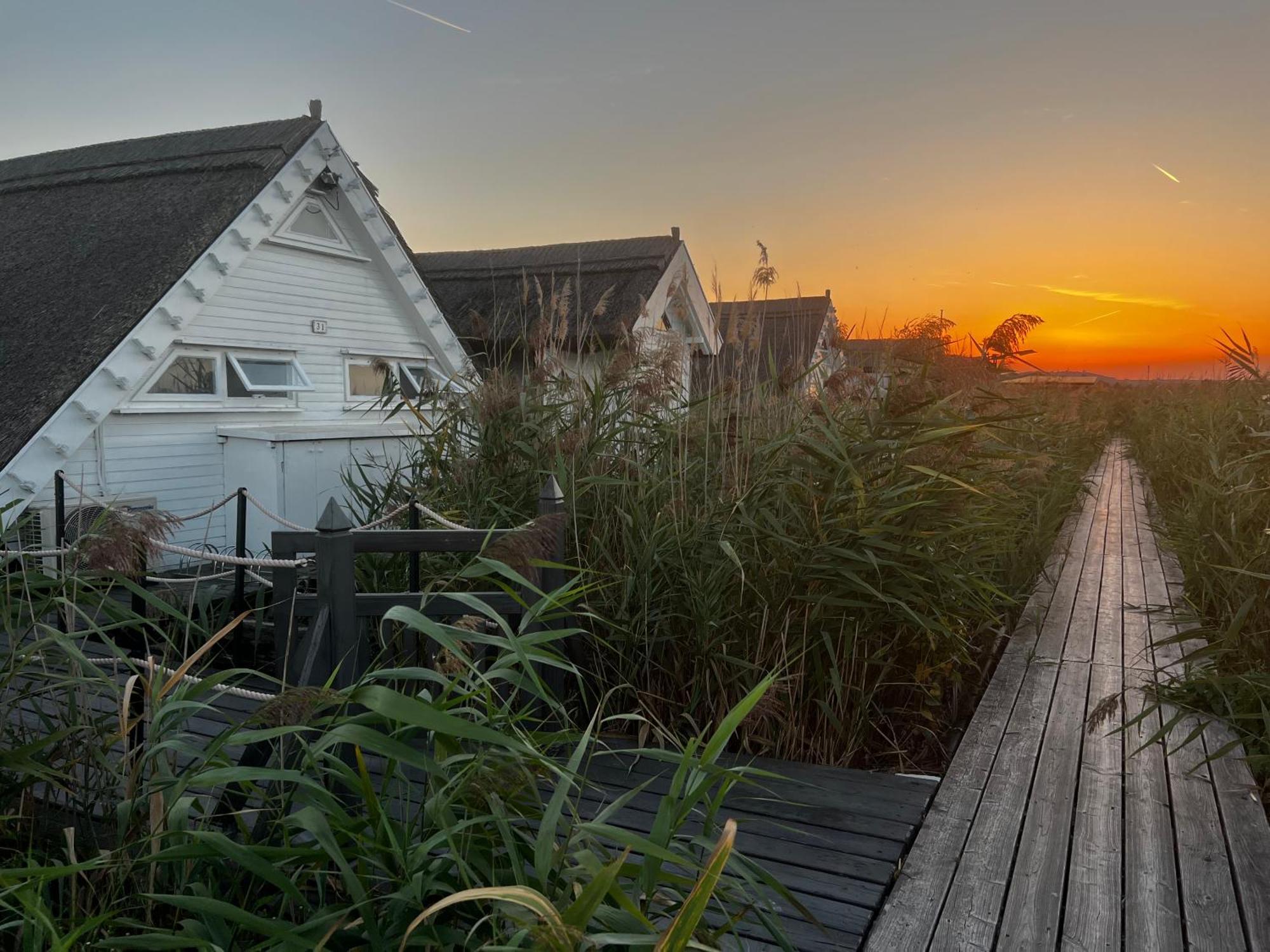 Seehuette Neusiedlersee - Seehaus Inklusive Elektroboot Rust Exteriör bild